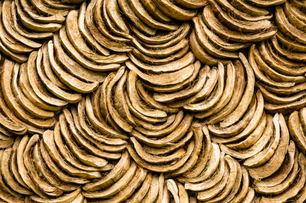 'Dragonfly' by Steve Black, Northallerton u3a